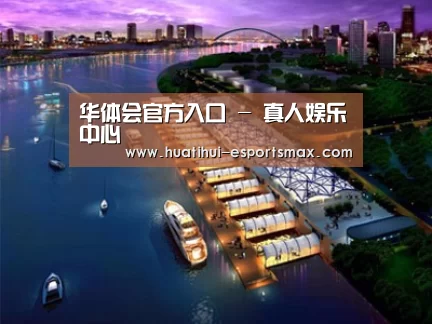 案例展示八