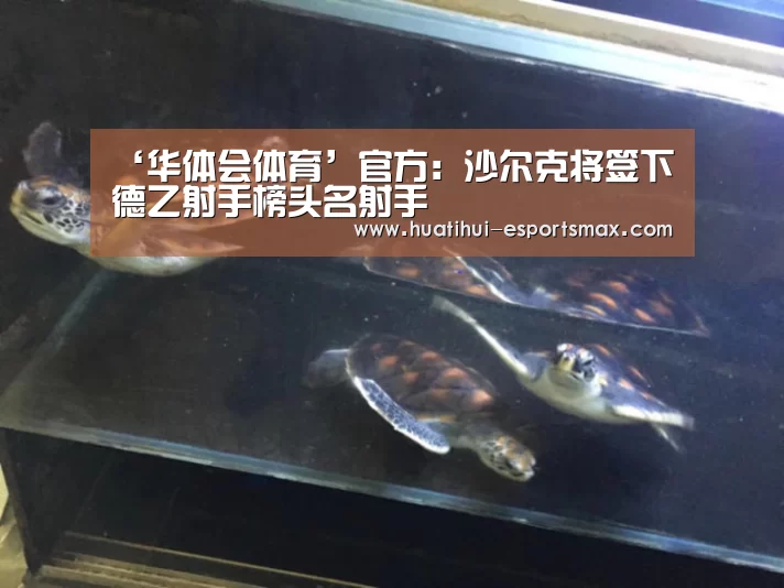 ‘华体会体育’官方:沙尔克将签下德乙射手榜头名射手(图1) 华体会官网