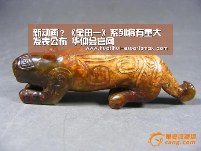华体会体育