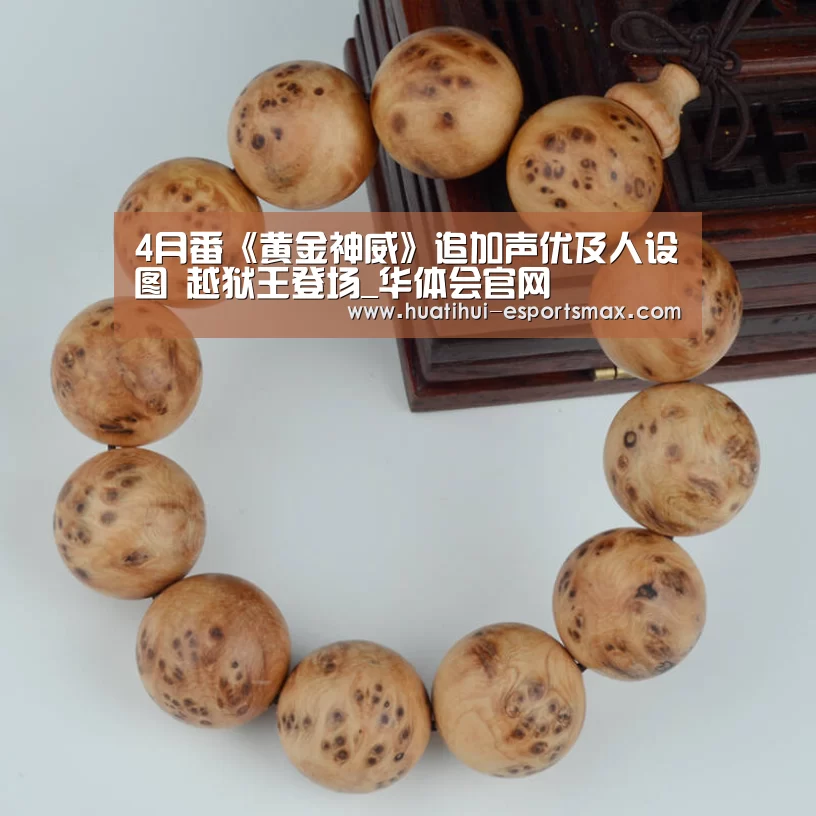 4月番《黄金神威》追加声优及人设图 越狱王登场_华体会官网(图3) 华体会体育官方网站